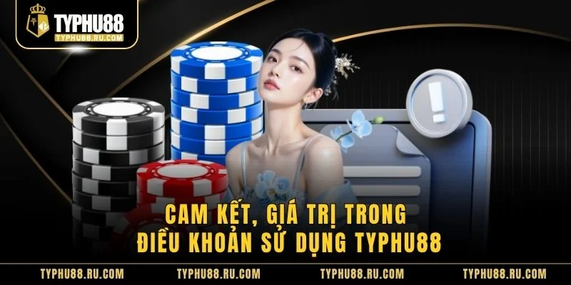 Cam kết, giá trị trong điều khoản sử dụng TyPhu88