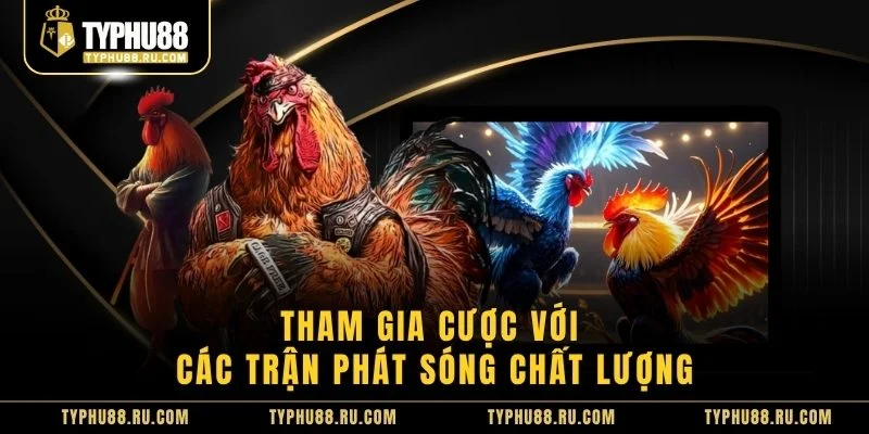 Tham gia cược với các trận phát sóng chất lượng